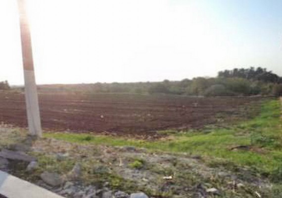 Agricultural field in Anarita, Paphos