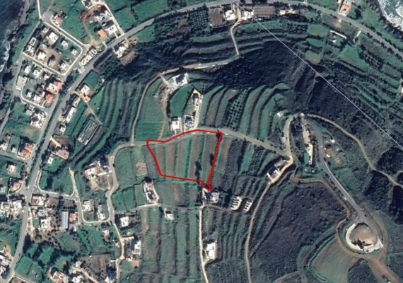 Field in Pomos, Paphos