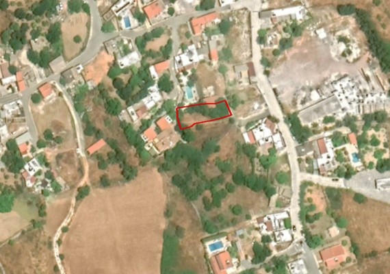 Share of Field in Kathikas, Paphos